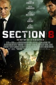 Section 8 (2022)
