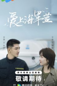 ซีรี่ย์จีน Rose and Gun (2025) สะดุดรักนายนาวี ซับไทย
